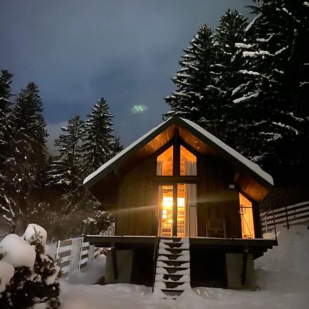 Bramble Tiny House Villa Zărneşti Bagian luar foto