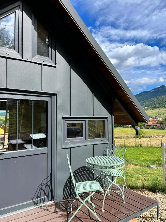 Bramble Tiny House Villa Zărneşti Bagian luar foto